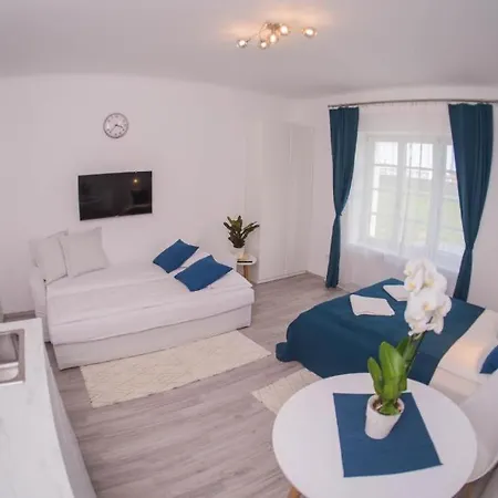Apartment Raba House *